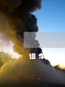 组学贷款 逾期3个月